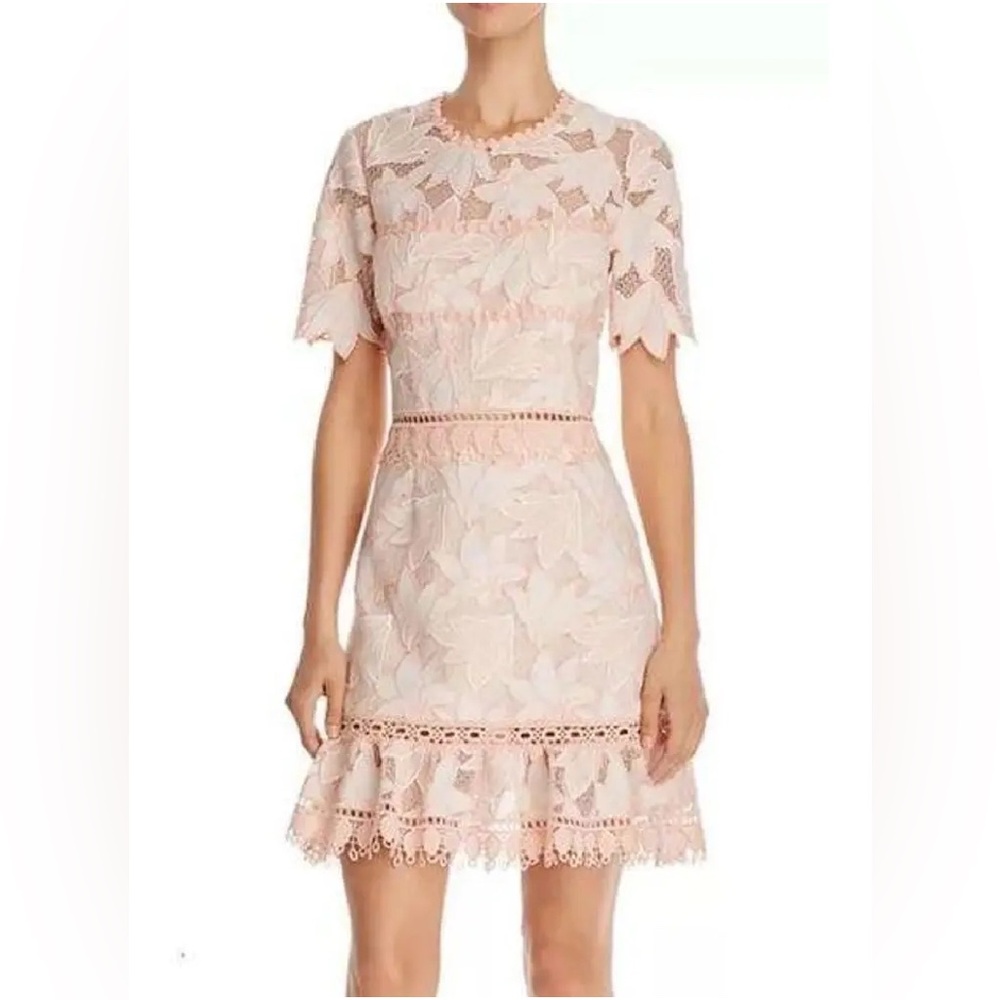 NWT Saylor Birgit Blush Dress